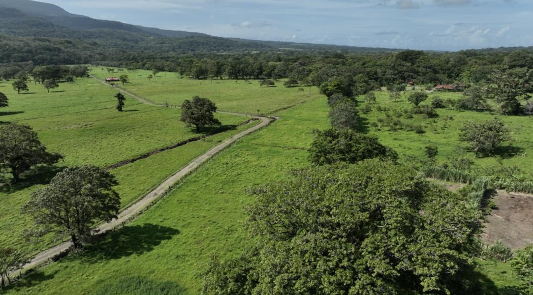 Huge Horse or Cattle Farm in Bijagual Upala, 10 Mins from Rio Celeste Costa Rica!